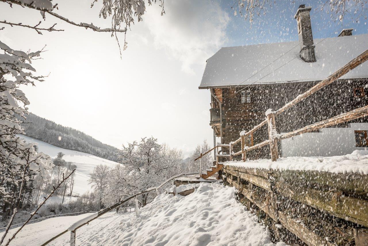 Urlaub Auf Der Alm "Deluxe" Villa Preggraben Exterior photo