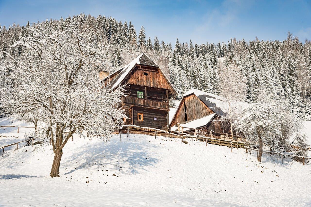 Urlaub Auf Der Alm "Deluxe" Villa Preggraben Exterior photo