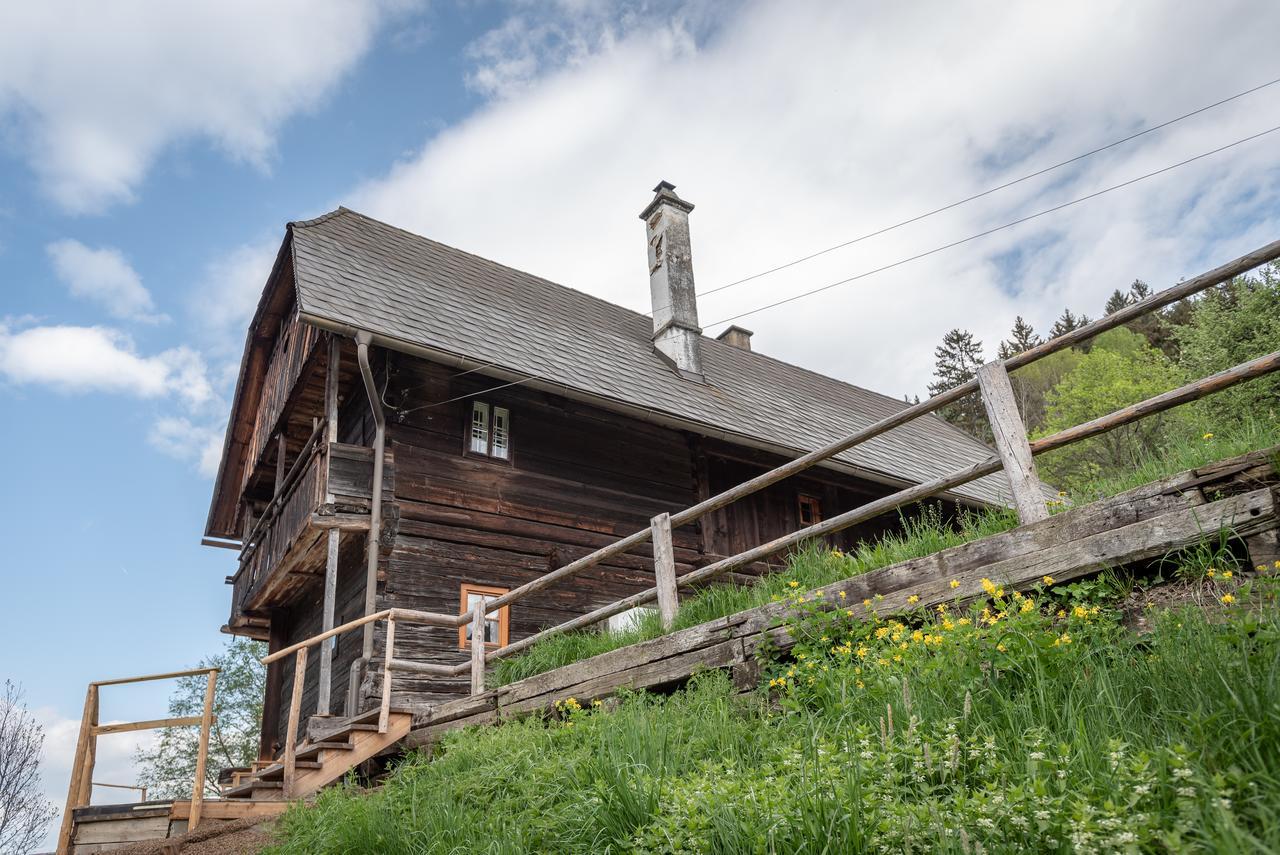 Urlaub Auf Der Alm "Deluxe" Villa Preggraben Exterior photo