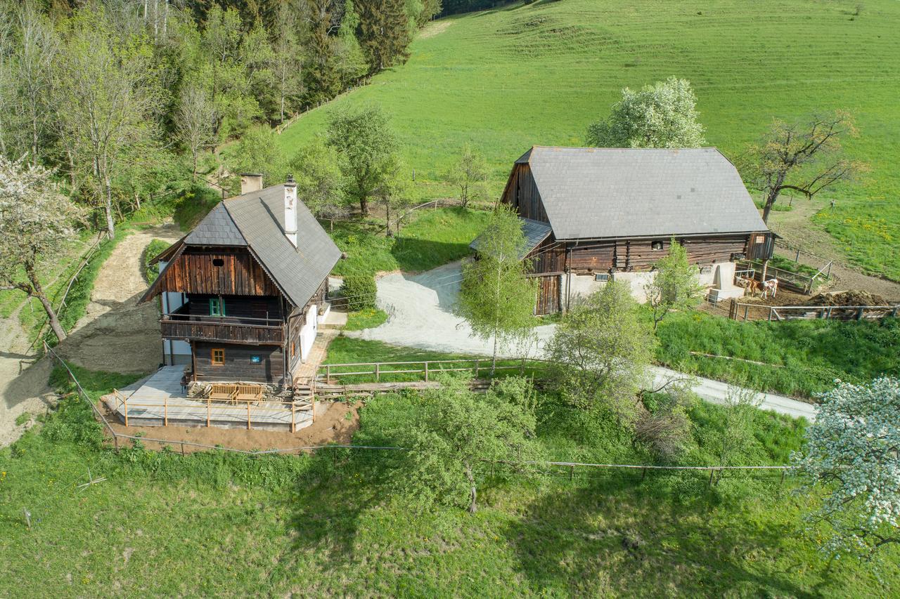 Urlaub Auf Der Alm "Deluxe" Villa Preggraben Exterior photo