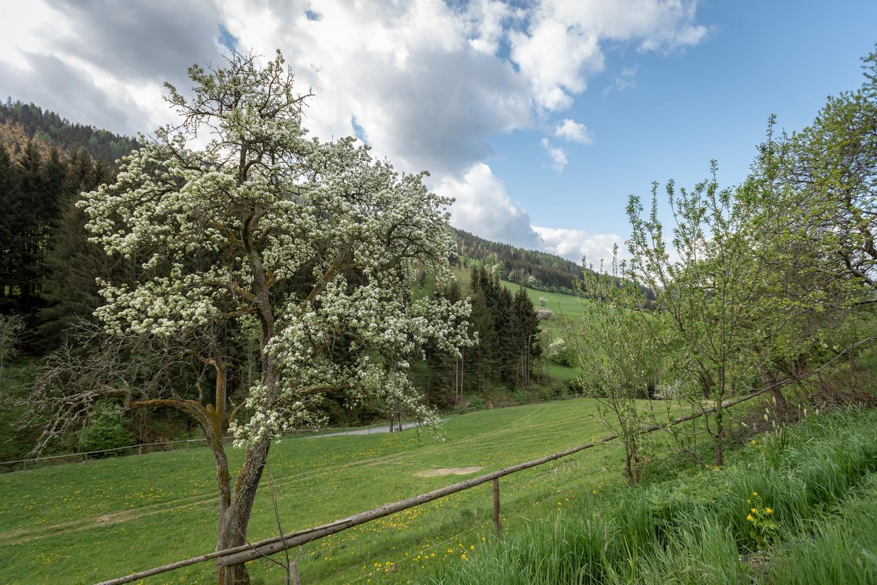 Urlaub Auf Der Alm "Deluxe" Villa Preggraben Exterior photo