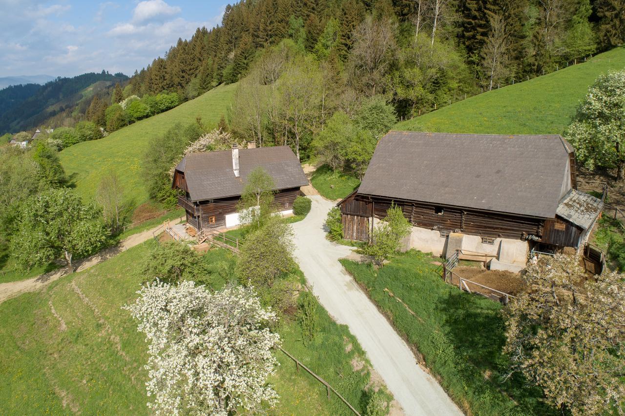 Urlaub Auf Der Alm "Deluxe" Villa Preggraben Exterior photo