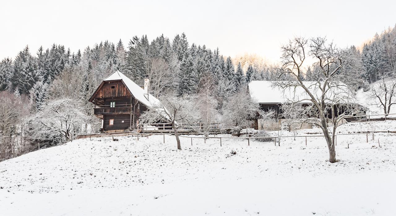 Urlaub Auf Der Alm "Deluxe" Villa Preggraben Exterior photo